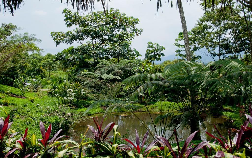 Huasquila Amazon Lodge Cotundo Exterior foto