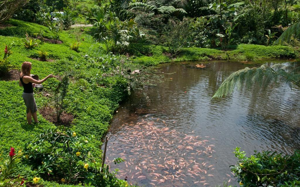 Huasquila Amazon Lodge Cotundo Exterior foto