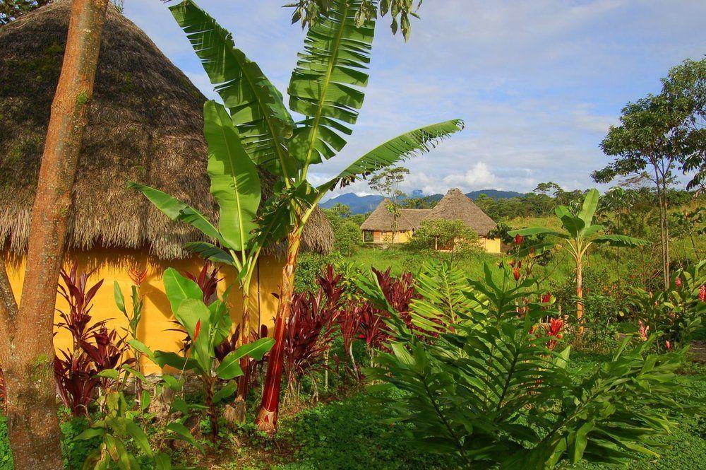 Huasquila Amazon Lodge Cotundo Exterior foto