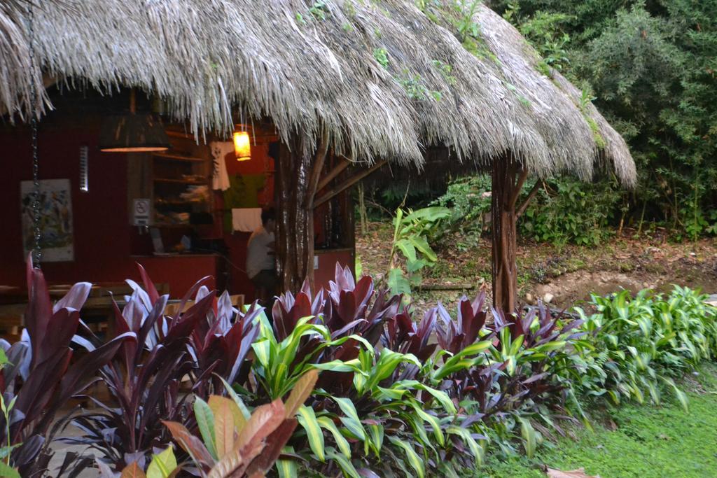 Huasquila Amazon Lodge Cotundo Exterior foto