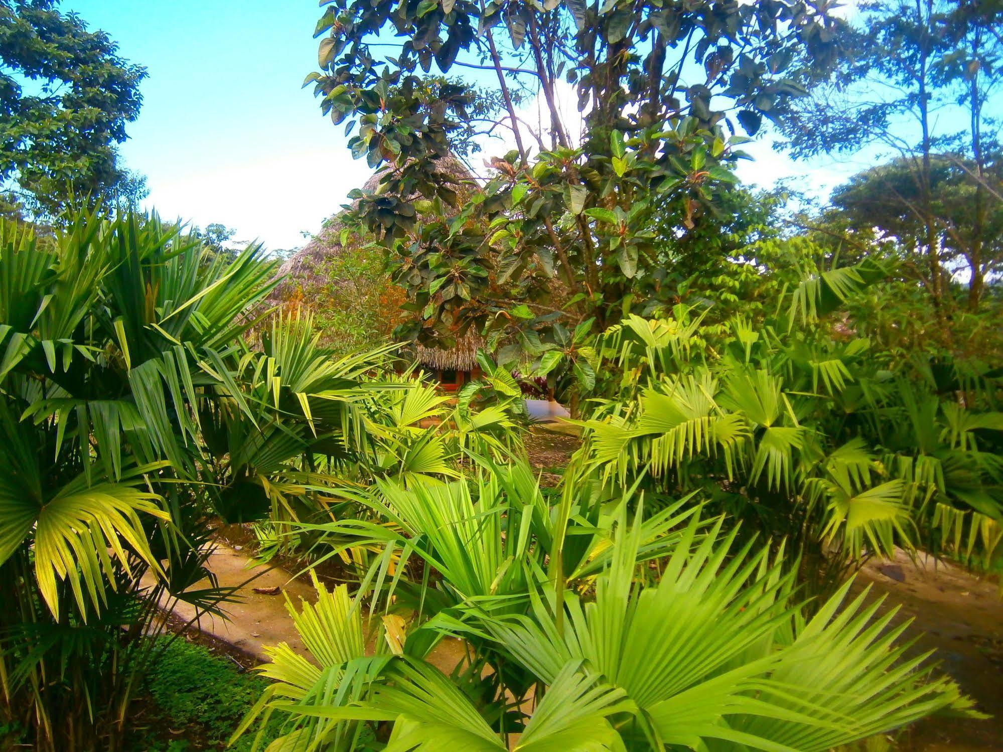 Huasquila Amazon Lodge Cotundo Exterior foto